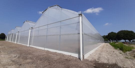 20210720_131918_resized