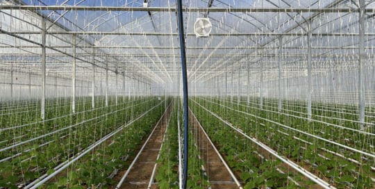 VDH Foliekassen - Ackerlei 01_1