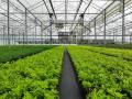 VDH Widespan 9,60 m + monorail spraybeam